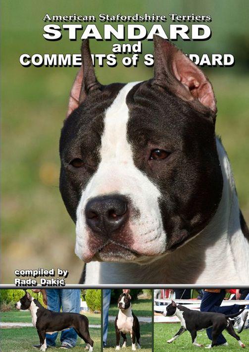 Rade Amstaff Comments